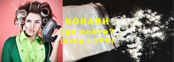гашик Надым