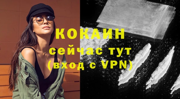 гашик Надым