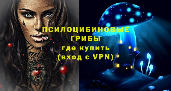 шишки Навашино