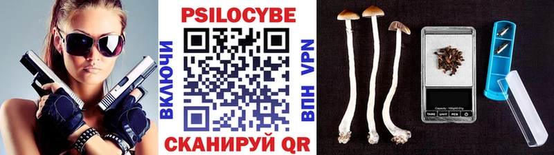 mega tor  Холм  Псилоцибиновые грибы Psilocybine cubensis  купить наркоту 